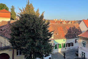 Artisans Boutique villa Sibiu