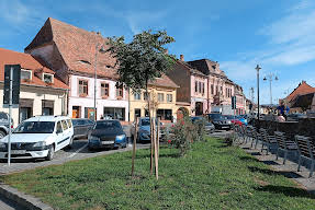 Blumenhaus Sibiu