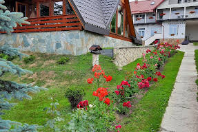 Boculet Bucovina