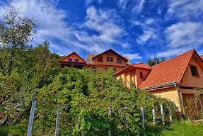 Casa Adam Sighisoara Sighisoara