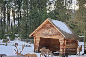 Hotel Alpin Lotru Transalpina