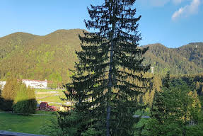 Hotel Royal Poiana Brasov