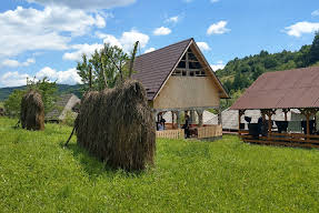 Ion de la Cruce Maramures