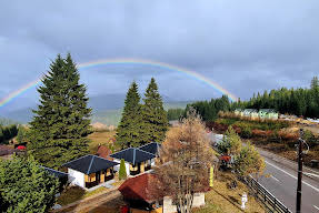 Luceafarul Bucovina