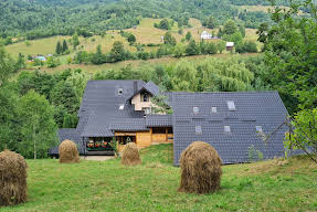 Mugur de Fluier Bucovina