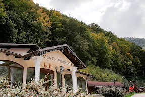 Perla Mărtiniei Pensiune-Restaurant Transalpina