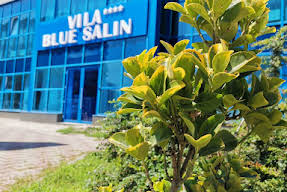 Vila Blue Salin Turda