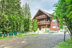 Zorile Poiana Brasov